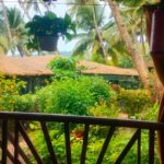 Garden view huts